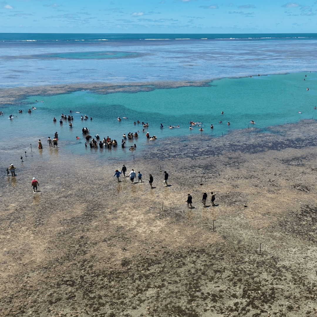 Vista aérea das piscinas naturais do recife de fora.